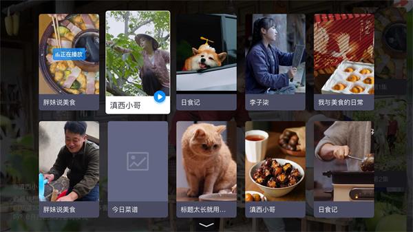 电视家升级版2024