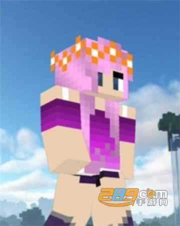 MC我的世界（旧版本）WER助手
