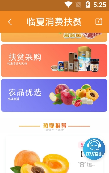 临夏消费扶贫APP