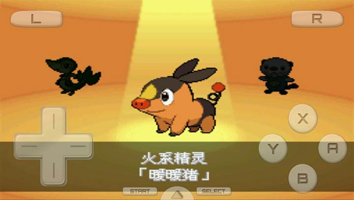 口袋妖怪梦之黑2：等离子的逆袭（悟饭）