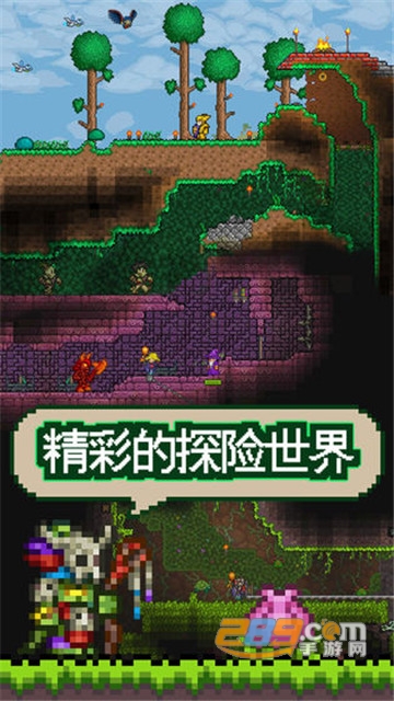 泰拉瑞亚盒子抢鲜版1.3无敌破解版
