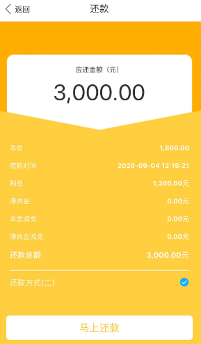 小仓鼠