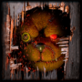 泰迪弗雷迪(Teddy Freddy)