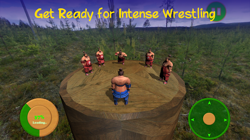 相扑3D(Sumo Wrestle 3D)