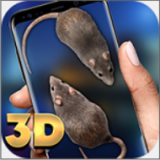 欢乐小耗子(Mouse in Hand)