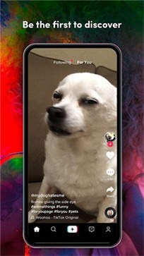 tiktok国际版无需翻墙(免登录)