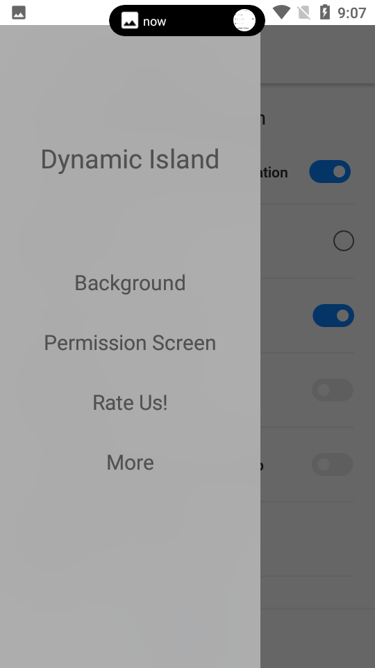 Dynamic Island