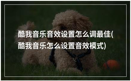 酷我音乐电视版破解版永久免费怎么设置音乐音质