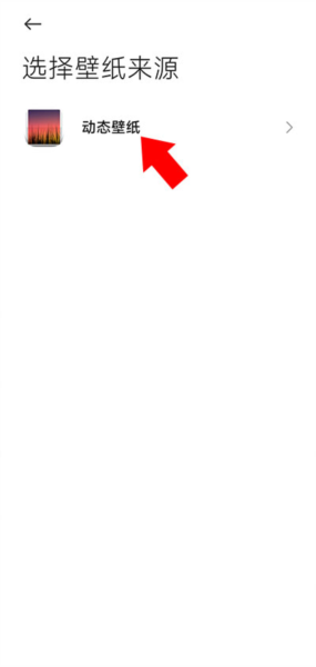 鲨鲨酱7