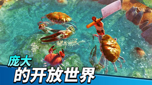 螃蟹之王中文版手游