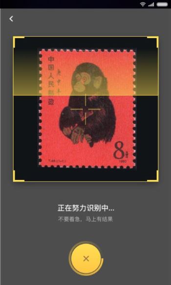 金猴识宝