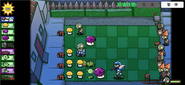 pvz_bt2024最新版本