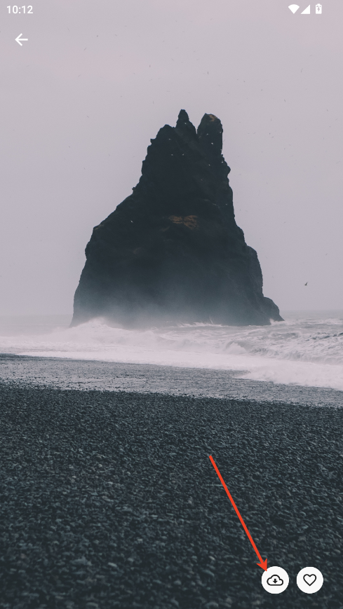 蛋播壁纸
