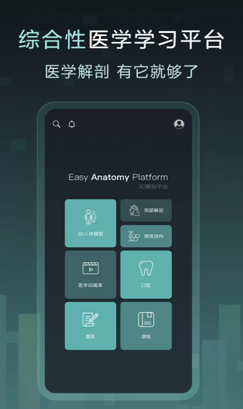 Easy解剖