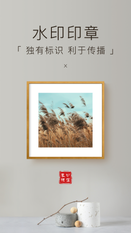 妙在装裱高清免费版