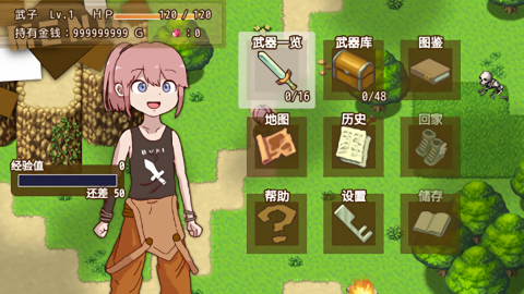 最强武器豪华存档版