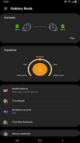 Galaxy Buds Manager