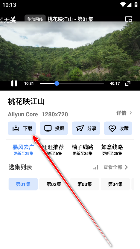 大鱼视频免费版