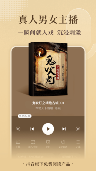 番茄小说去广告版