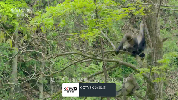 我的电视oTV版