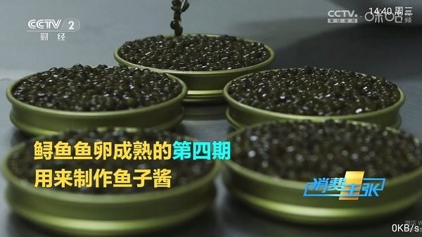 Pn播放器