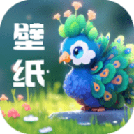 孔雀壁纸