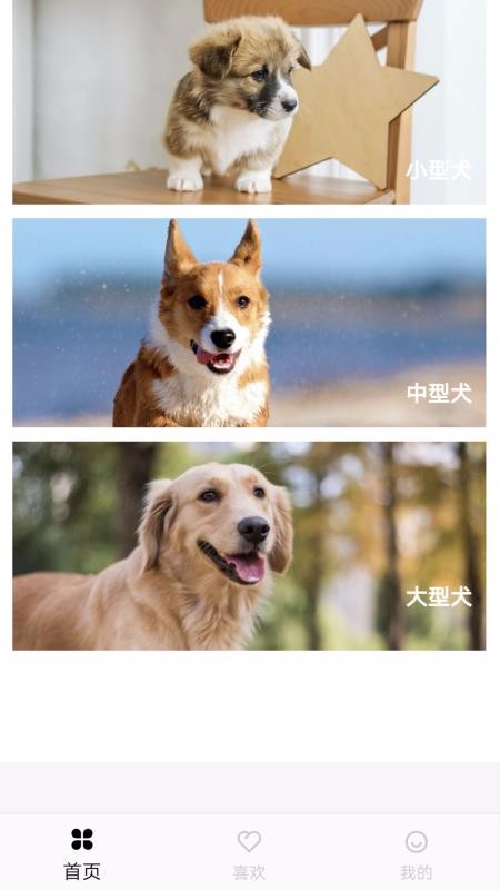 汪星人图谱(Dog Encyclopedia)