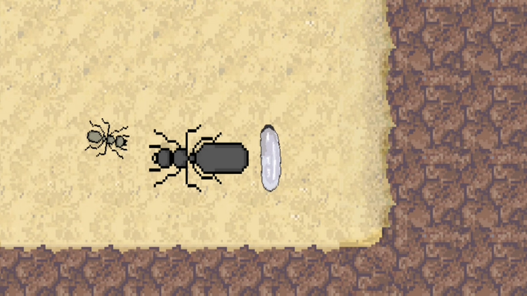 口袋蚂蚁模拟器最新版(Pocket Ants) 0.1105手机版