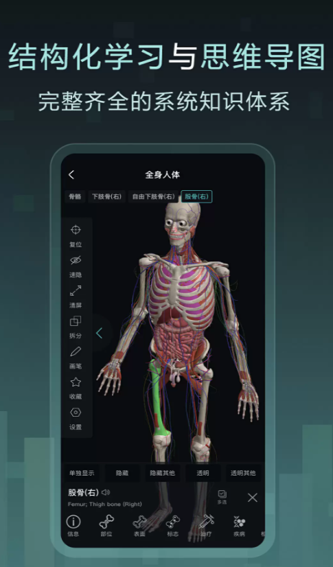 Easy解剖