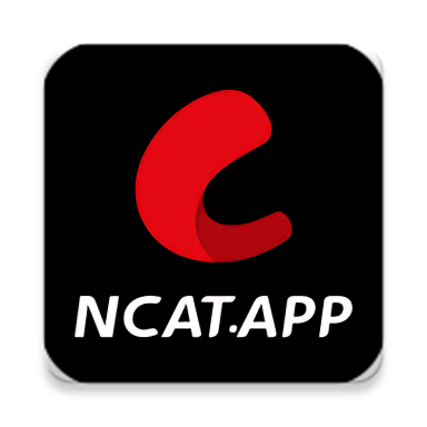 网飞猫影视app