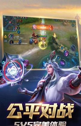 王者皮肤助手