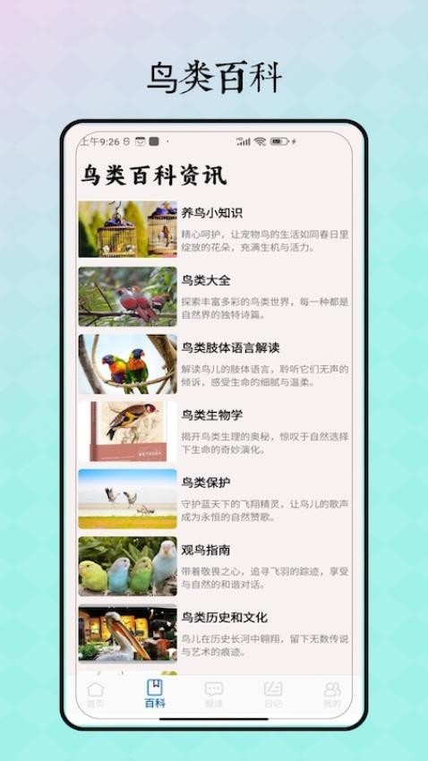 鸟语翻译