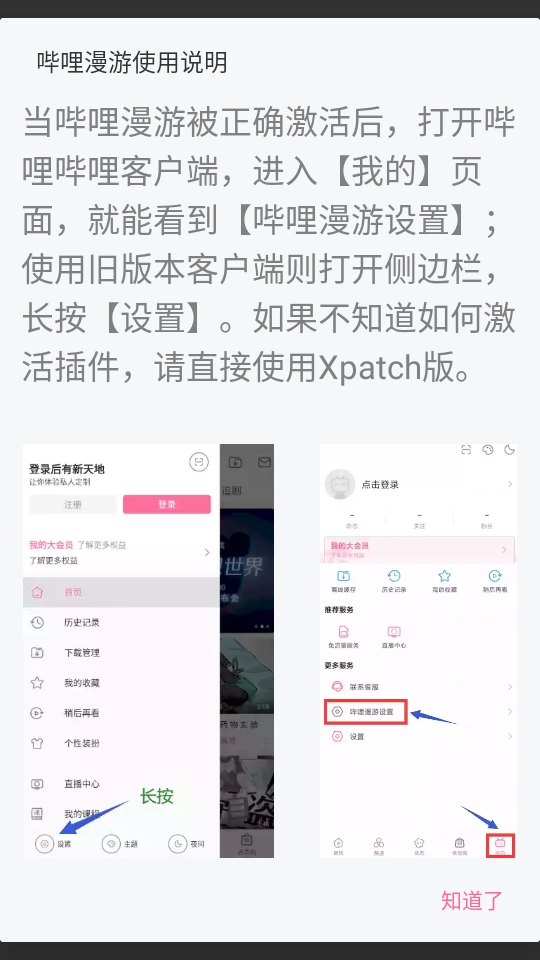 哔哩哔哩内置漫游模块版