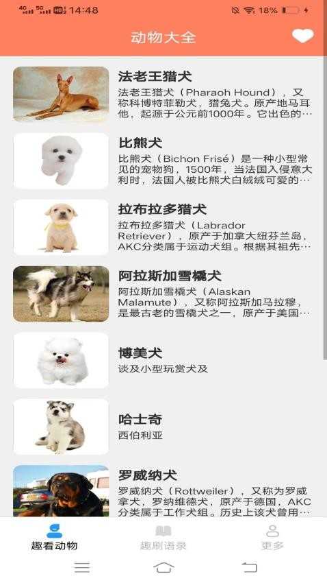 蛋花短剧免费安装