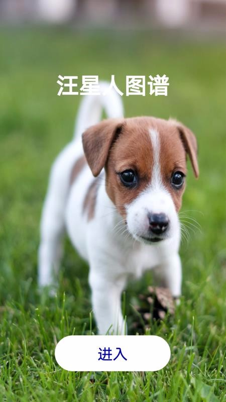 汪星人图谱(Dog Encyclopedia)