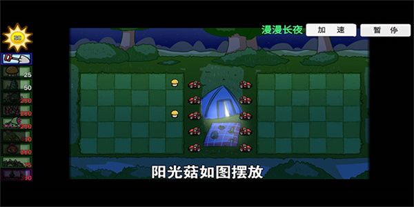 pvz_bt2024最新版本
