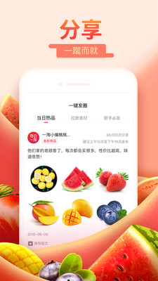 每日一淘