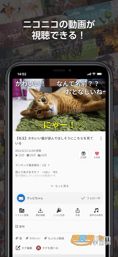 n站（ニコニコ動画）官方下载2026最新版v9.0.0手机版
