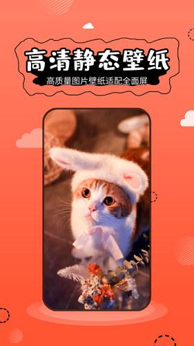 壁纸精灵app安卓版