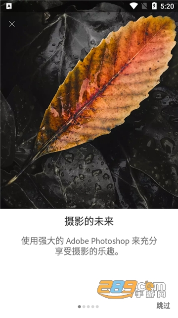 Adobe Lightroom高级版免登录下载2025中文安卓版v11.4.3安卓最新版