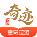奇迹小说(奇迹文学)