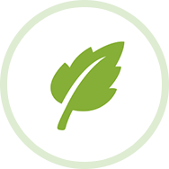 SGreen浏览器
