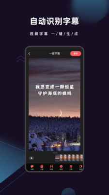 爱字幕免费版