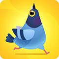 疯狂的鸽子最新版 Pigeon Pop
