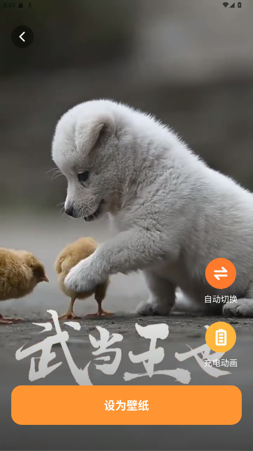 西西壁纸免费 1.6.0安卓版