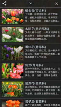识花君安卓版