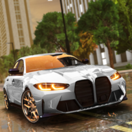 驾驶学校模拟器Evo无限金币版(Driving School Simulator : EVO) 1.95.2中文版