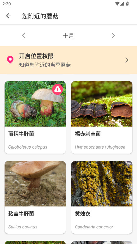 蘑菇识别软件会员解锁版(Picture Mushroom) 2.9.23安卓版