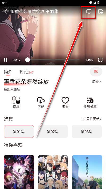 次元城动画破解版最新版