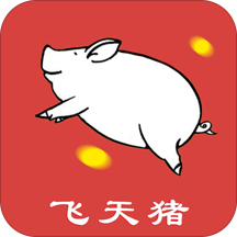飞天猪